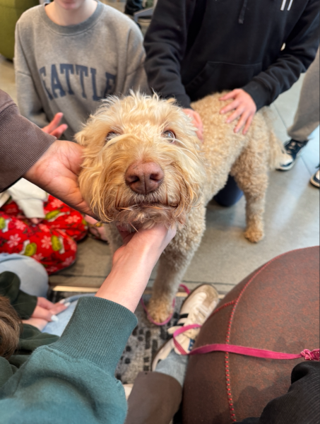 UPrep Welcomes Therapy Dogs